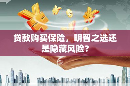 玉树贷款购买保险，明智之选还是隐藏风险？