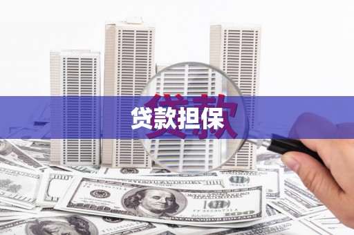 玉树贷款担保