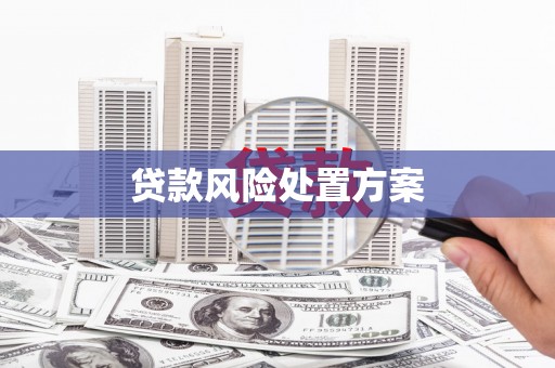 玉树贷款风险处置方案