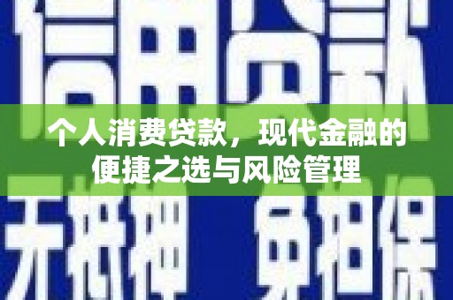 玉树个人消费贷款，现代金融的便捷之选与风险管理