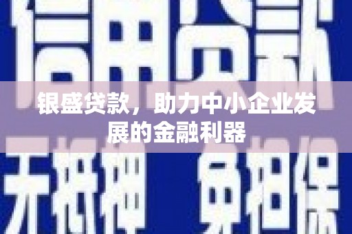 玉树银盛贷款，助力中小企业发展的金融利器