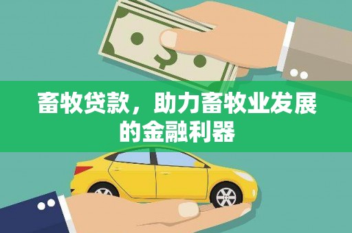 玉树畜牧贷款，助力畜牧业发展的金融利器