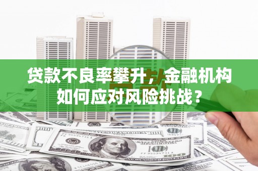 玉树贷款不良率攀升，金融机构如何应对风险挑战？