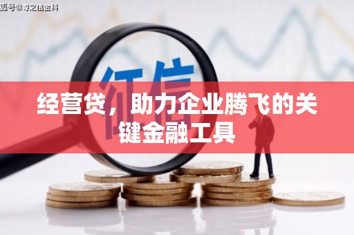 玉树经营贷，助力企业腾飞的关键金融工具