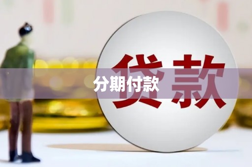 玉树分期付款