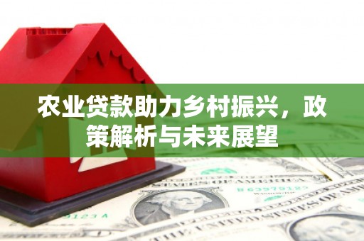 玉树农业贷款助力乡村振兴，政策解析与未来展望