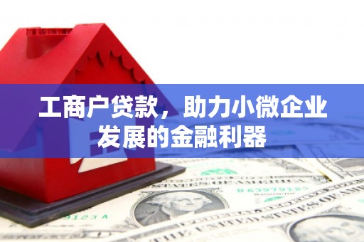 玉树工商户贷款，助力小微企业发展的金融利器