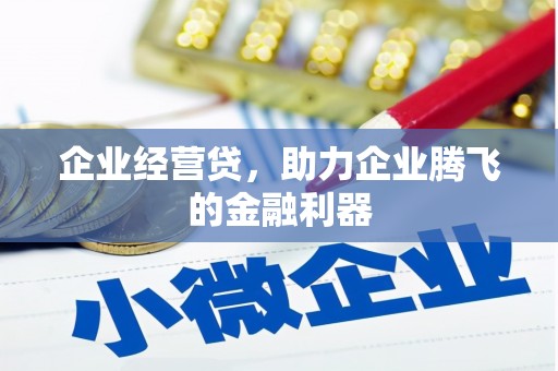 玉树企业经营贷，助力企业腾飞的金融利器