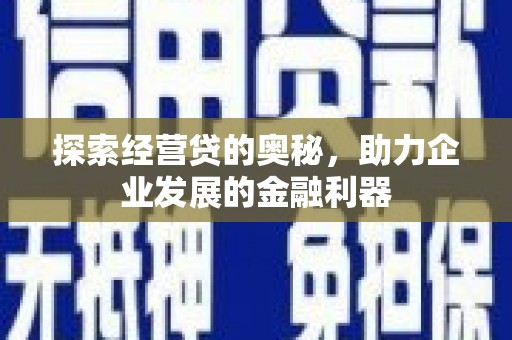 玉树探索经营贷的奥秘，助力企业发展的金融利器