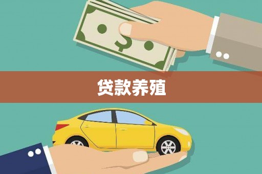 玉树贷款养殖