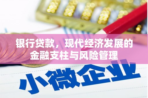 玉树银行贷款，现代经济发展的金融支柱与风险管理