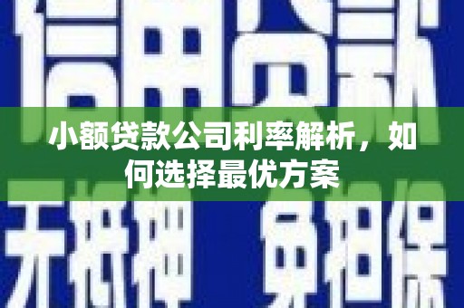 玉树小额贷款公司利率解析，如何选择最优方案