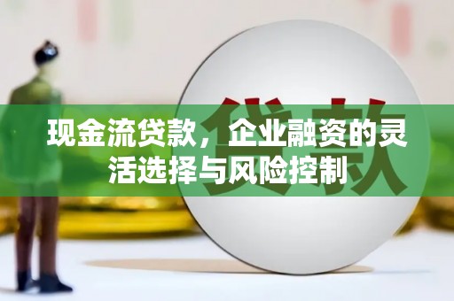 玉树现金流贷款，企业融资的灵活选择与风险控制