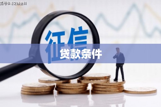 玉树贷款条件