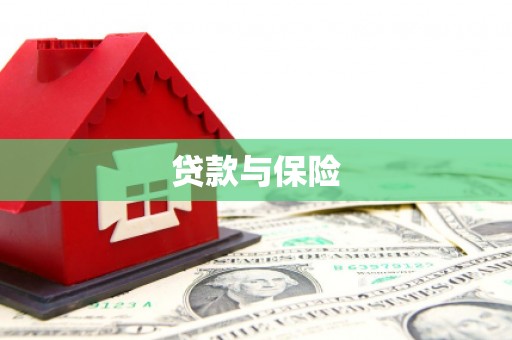玉树贷款与保险