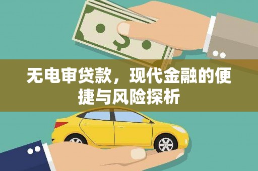 玉树无电审贷款，现代金融的便捷与风险探析