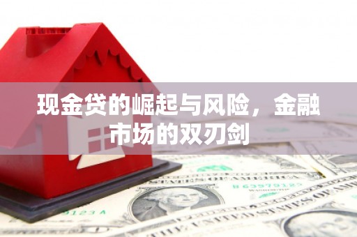 玉树现金贷的崛起与风险，金融市场的双刃剑