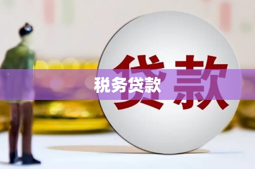 玉树税务贷款