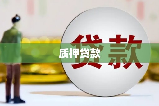 玉树质押贷款