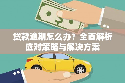 玉树贷款逾期怎么办？全面解析应对策略与解决方案