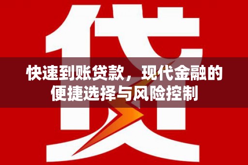 玉树快速到账贷款，现代金融的便捷选择与风险控制