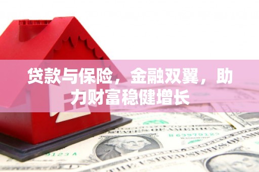 玉树贷款与保险，金融双翼，助力财富稳健增长