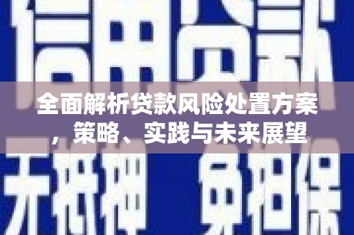 玉树全面解析贷款风险处置方案，策略、实践与未来展望