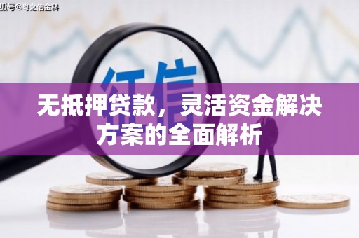 玉树无抵押贷款，灵活资金解决方案的全面解析