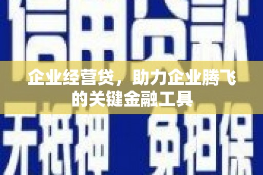 玉树企业经营贷，助力企业腾飞的关键金融工具