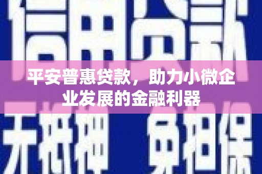 玉树平安普惠贷款，助力小微企业发展的金融利器