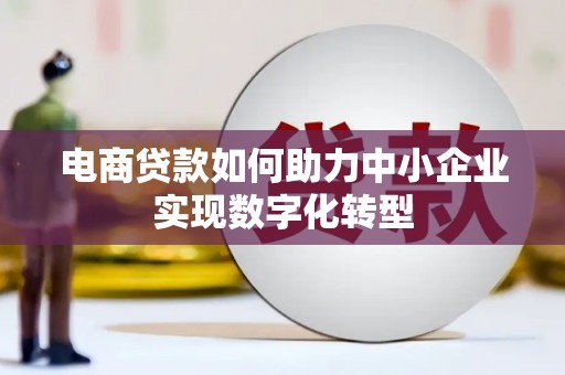 玉树电商贷款如何助力中小企业实现数字化转型