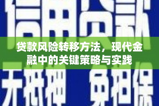 玉树贷款风险转移方法，现代金融中的关键策略与实践