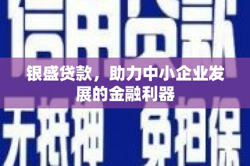 玉树银盛贷款，助力中小企业发展的金融利器