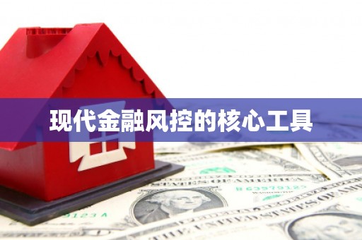 玉树现代金融风控的核心工具