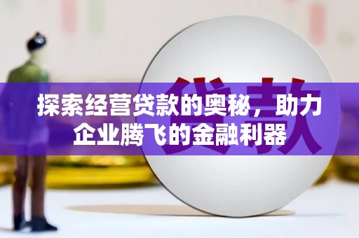 玉树探索经营贷款的奥秘，助力企业腾飞的金融利器