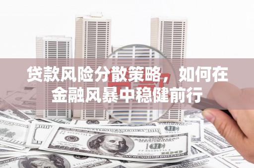 玉树贷款风险分散策略，如何在金融风暴中稳健前行