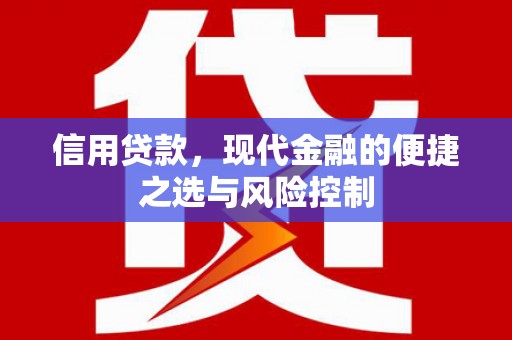 玉树信用贷款，现代金融的便捷之选与风险控制