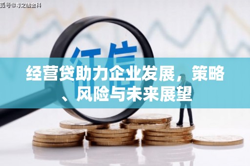 玉树经营贷助力企业发展，策略、风险与未来展望