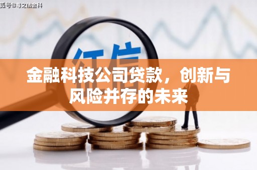 玉树金融科技公司贷款，创新与风险并存的未来
