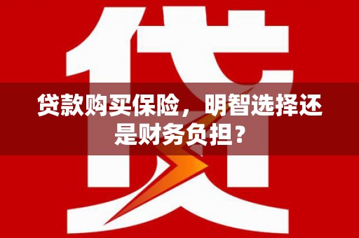 玉树贷款购买保险，明智选择还是财务负担？