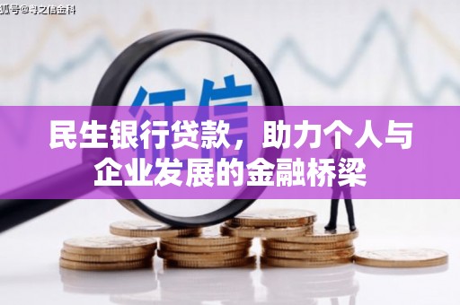 玉树民生银行贷款，助力个人与企业发展的金融桥梁