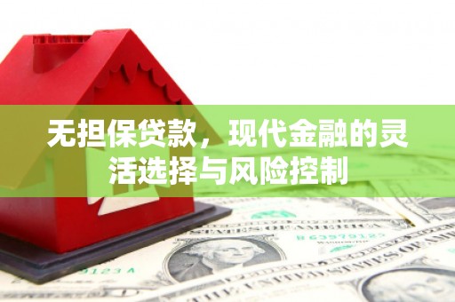 玉树无担保贷款，现代金融的灵活选择与风险控制
