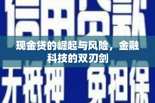 玉树现金贷的崛起与风险，金融科技的双刃剑