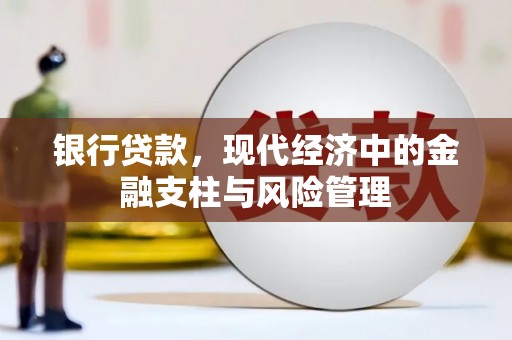 玉树银行贷款，现代经济中的金融支柱与风险管理