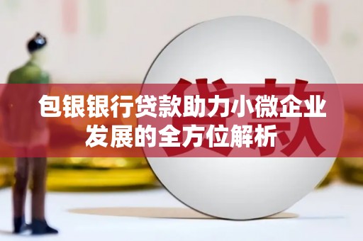 玉树包银银行贷款助力小微企业发展的全方位解析 玉树包银银行贷款助力小微企业发展的全方位解析