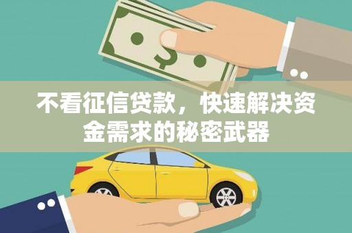 玉树不看征信贷款，快速解决资金需求的秘密武器