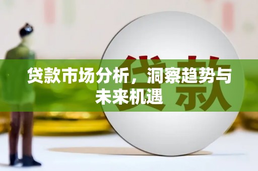 玉树贷款市场分析，洞察趋势与未来机遇