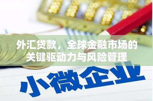 玉树外汇贷款，全球金融市场的关键驱动力与风险管理