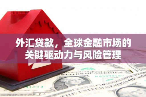 玉树外汇贷款，全球金融市场的关键驱动力与风险管理
