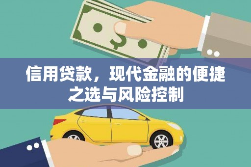 玉树信用贷款，现代金融的便捷之选与风险控制